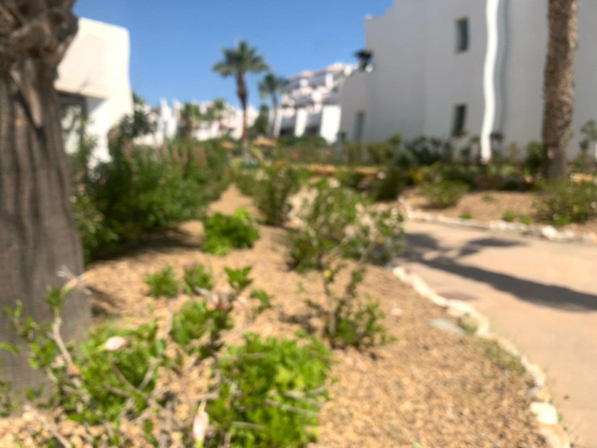 Apartamento Las Salinas 1389 Vera Esterno foto